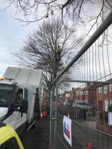 Doncaster Tree Felling